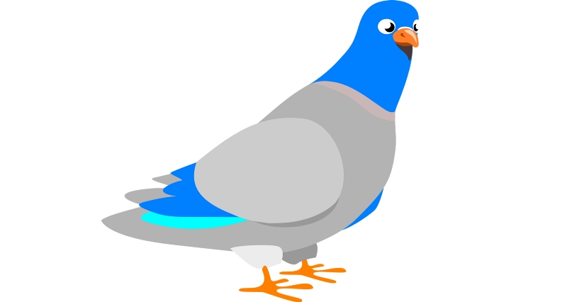 توضیح HTTPS به وسیله کبوترهای نامه بر